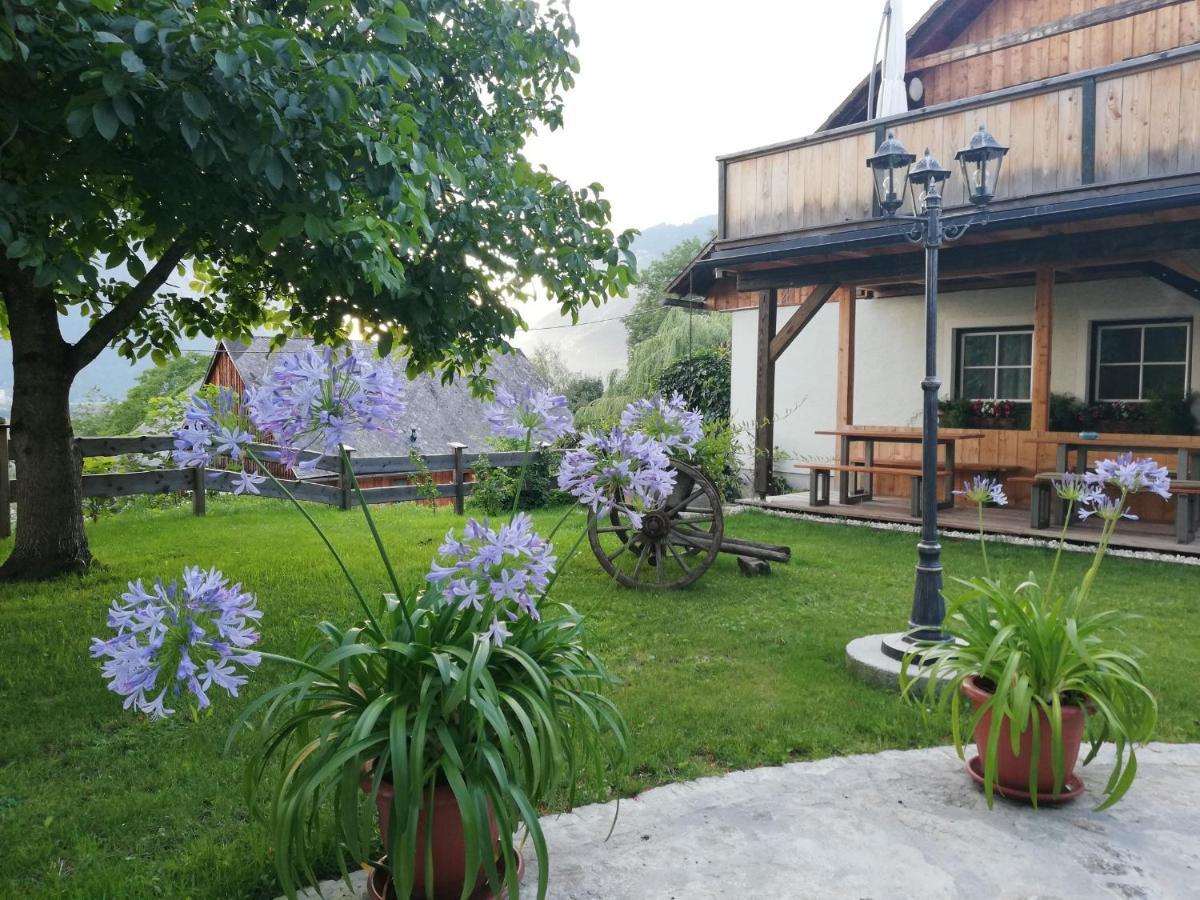 Ortnerhof Ennstal Bed & Breakfast Aigen im Ennstal Dış mekan fotoğraf
